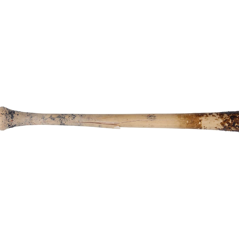 Bâton cassé Tan Marucci utilisé par José Tena des Nationals de Washington lors du match contre les Giants de San Francisco le 18 avril 2026 - Simple avec point produit