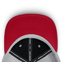 Men's Nike  Gray Washington Nationals Primetime Rise Dri-FIT Flex Hat