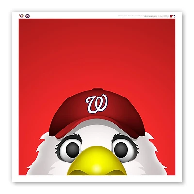 Washington Nationals 12" x 12" Screech Poster Print