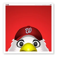 Washington Nationals 12" x 12" Screech Poster Print