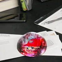 Presse-papiers en forme de dôme de fierté de l'équipe des Nationals de Washington