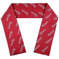 WEAR by Erin Andrews Washington Nationals Team Wordmark Scarf