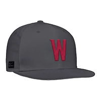 Casquette de baseball Nike anthracite Washington State Cougars pour homme