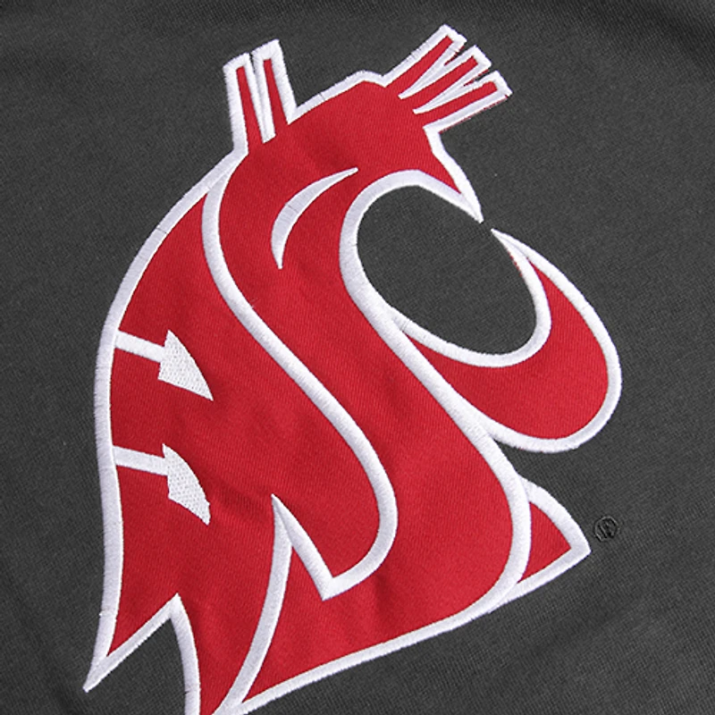 Youth Stadium Athletic Charcoal Washington State Cougars Big Logo Pullover Hoodie