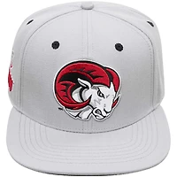 Men's Pro Standard Gray Winston-Salem State Rams Mascot Logo Snapback Hat