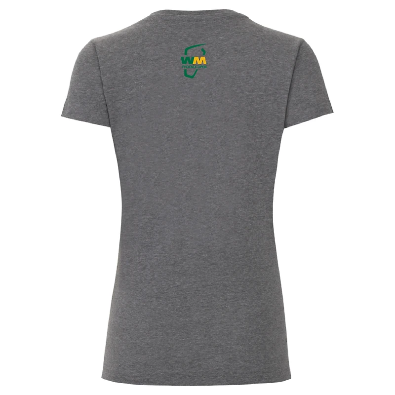 Women's Ahead Charcoal 2024 WM Phoenix Open Vista V-Neck T-Shirt
