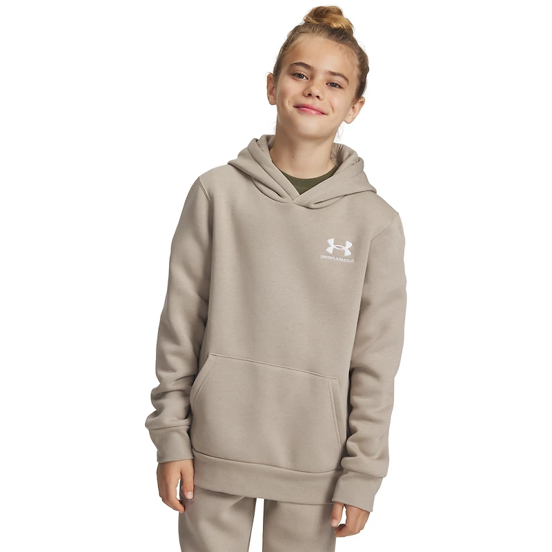 Under Armour Boys Essential Fleece Hoodie - Boys' Grade School White/Timberwolf Taupe