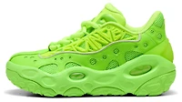 PUMA LaFrance RNR Bonds