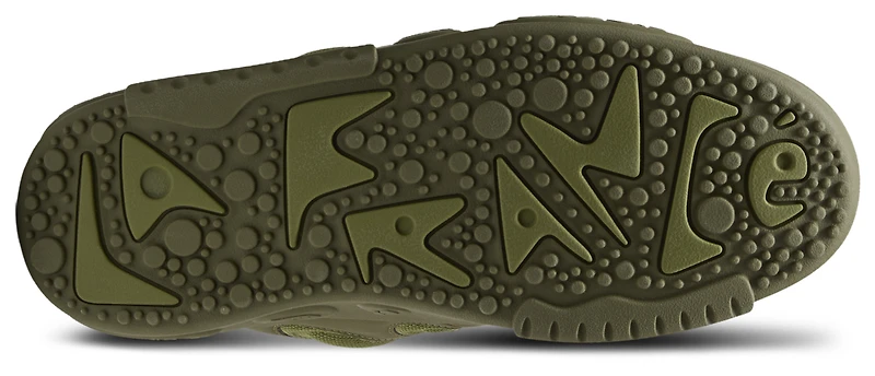 PUMA LaFrance Oak Tree