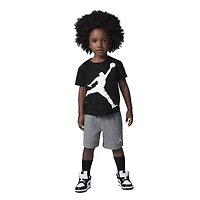Jordan Jumbo Jumpman Shorts Set