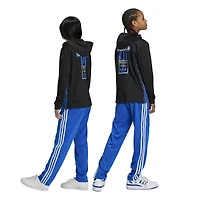 adidas Originals adicolor Firebird Lifestyle Pants - Boys' Grade School