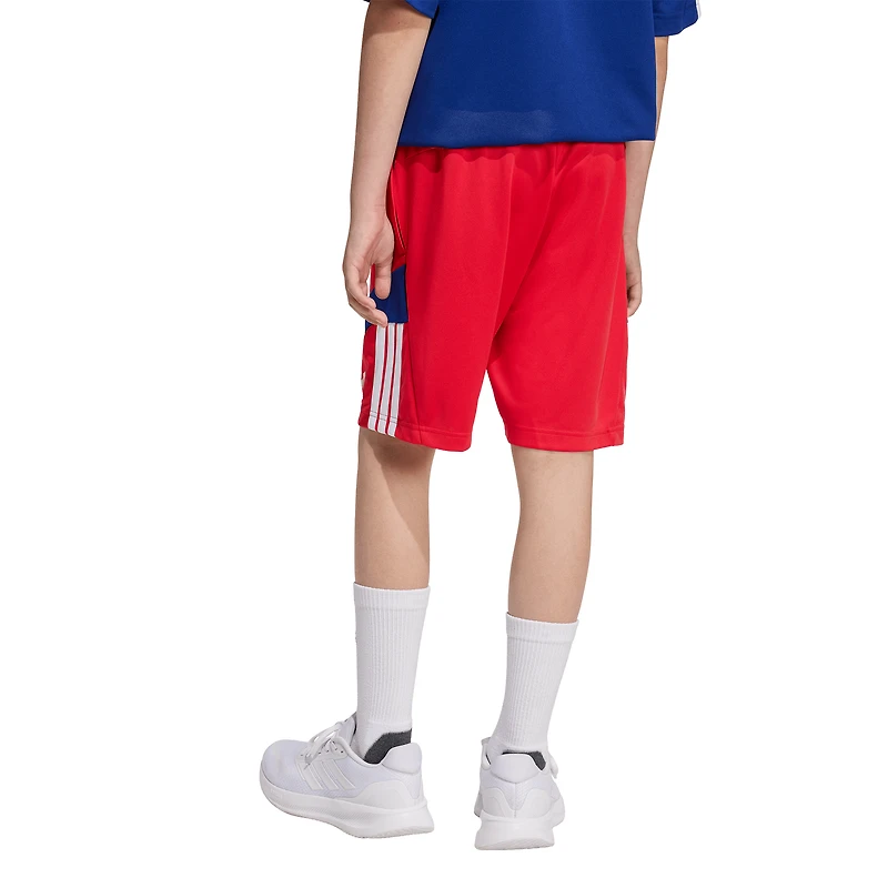 adidas House of Tiro Shorts - Boys' Grade School