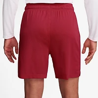 Jordan Dri-FIT Sport Mesh Shorts - Men's