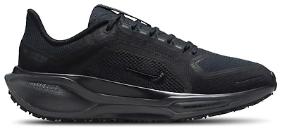 Nike Air ZOOM Pegasus 41 GTX - Women's