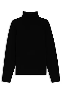 Rollneck sweater cashmere