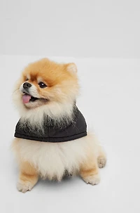 Dog padded jacket with contrast logo