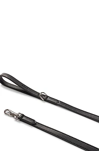 Dog lead leather