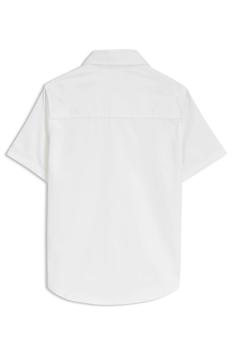 Regular-fit shirt Oxford cotton and linen