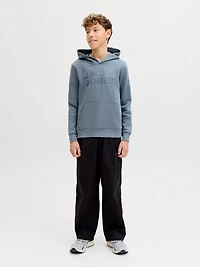 Regular Fit Hoodie | Jack & Jones