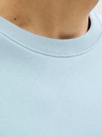 Chandail ouaté à capuchon Coupe décontractée | Jack & Jones