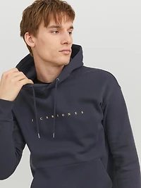 Chandail ouaté à capuchon Coupe décontractée | Jack & Jones
