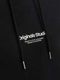 Chandail ouaté à capuchon Coupe décontractée | Jack & Jones