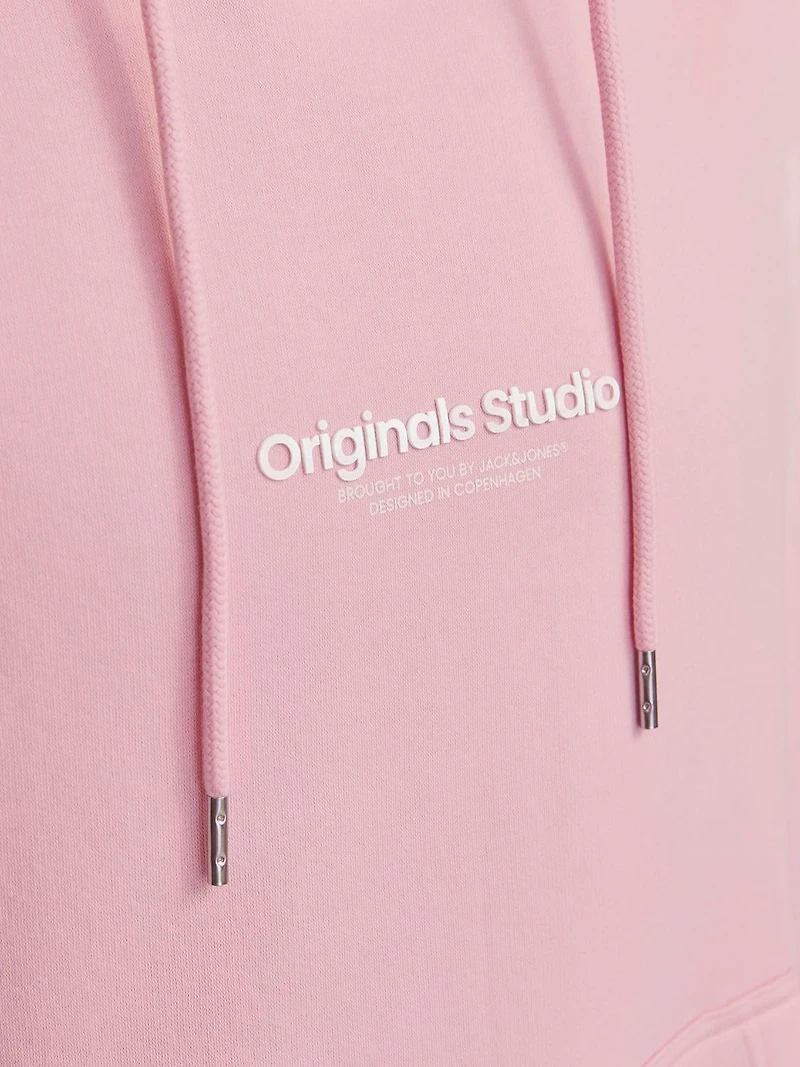 Chandail ouaté à capuchon Coupe décontractée | Jack & Jones