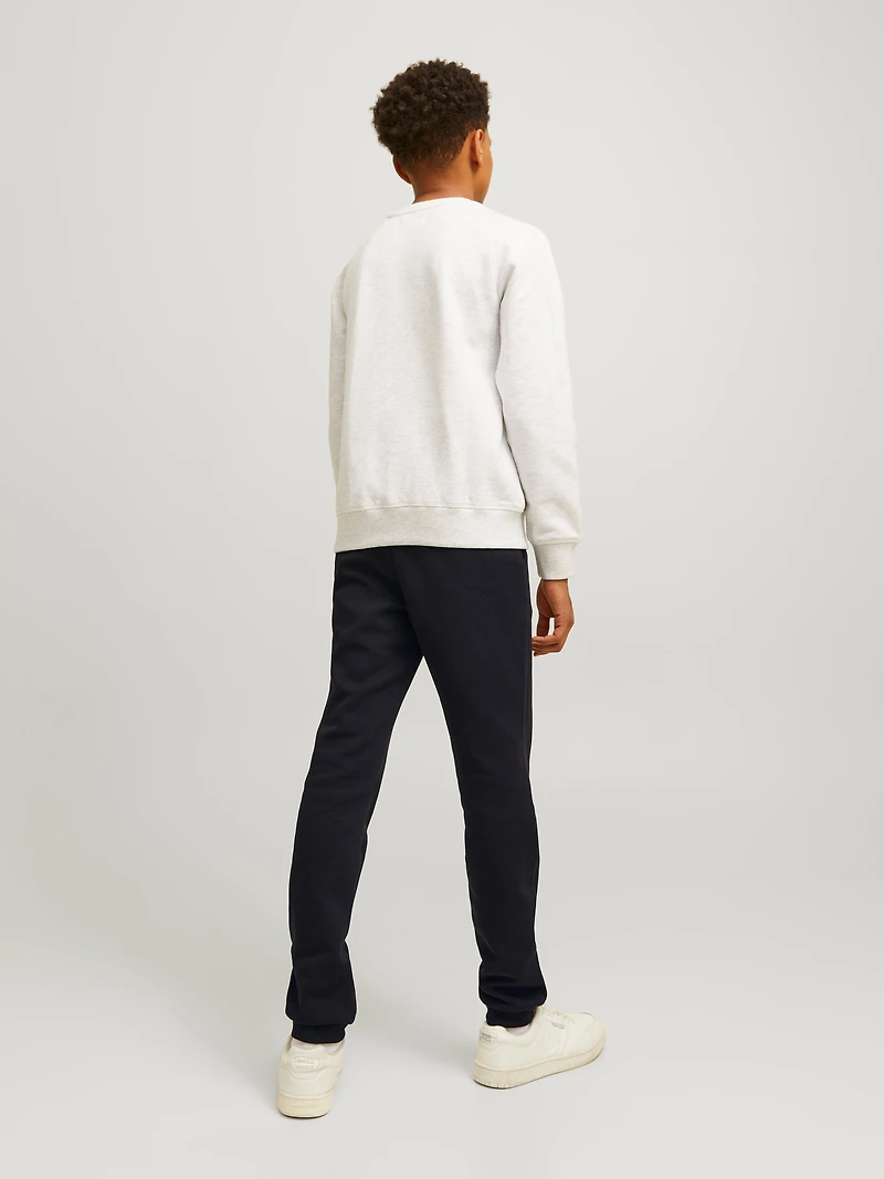 Pantalon Coupe décontractée | Jack & Jones
