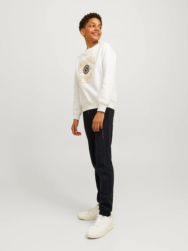 Pantalon Coupe décontractée | Jack & Jones
