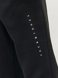 Pantalon Coupe décontractée | Jack & Jones