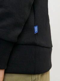 Chandail ouaté Coupe régulière | Jack & Jones