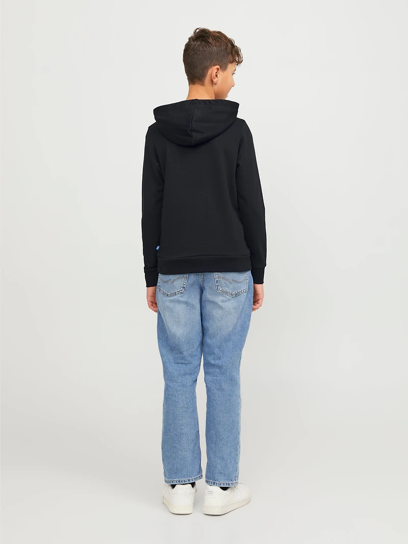 Regular Fit Hoodie | Jack & Jones