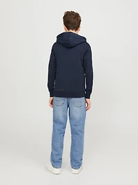 Regular Fit Hoodie | Jack & Jones