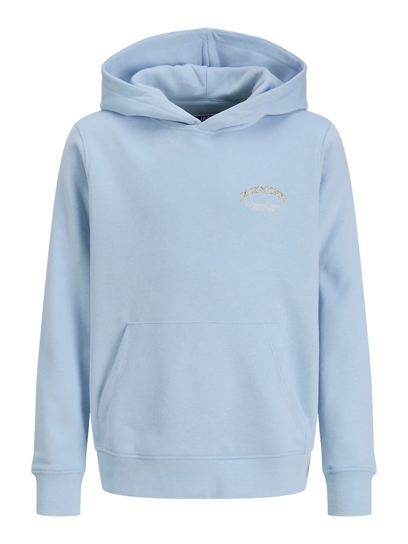 Relaxed Fit Hoodie | Jack & Jones