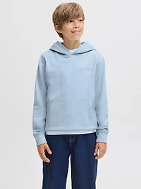 Relaxed Fit Hoodie | Jack & Jones
