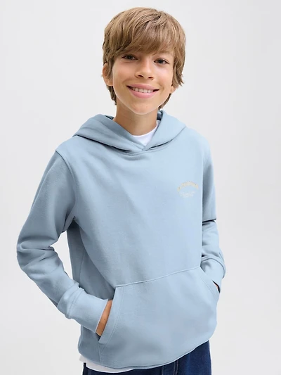 Relaxed Fit Hoodie | Jack & Jones
