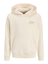 Chandail ouaté à capuchon Coupe décontractée | Jack & Jones