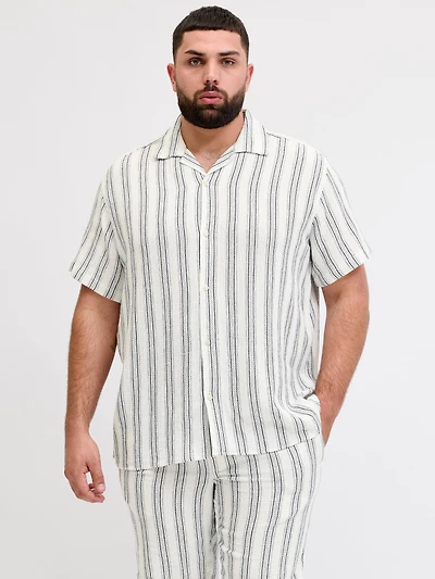Chemise Coupe régulière | Jack & Jones