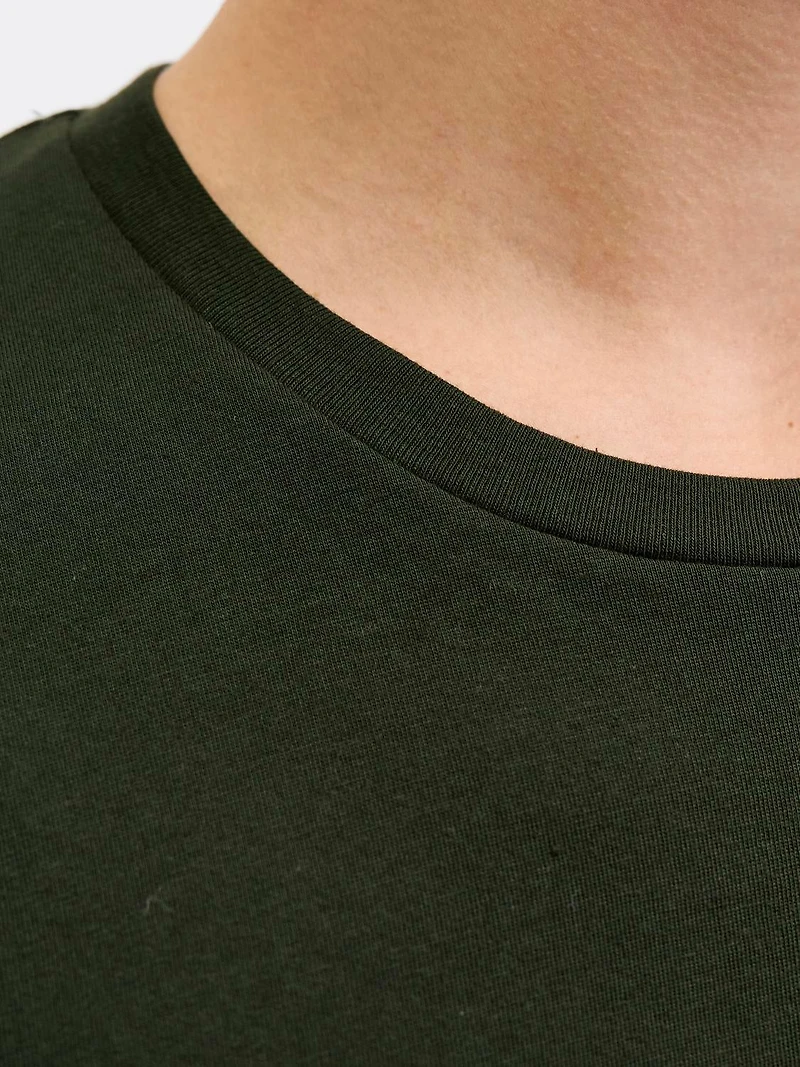 Regular Fit Christmas T-Shirt | Jack & Jones