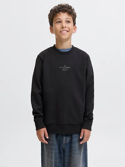 Chandail ouaté Coupe décontractée | Jack & Jones