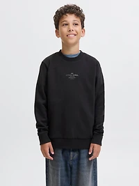Chandail ouaté Coupe décontractée | Jack & Jones