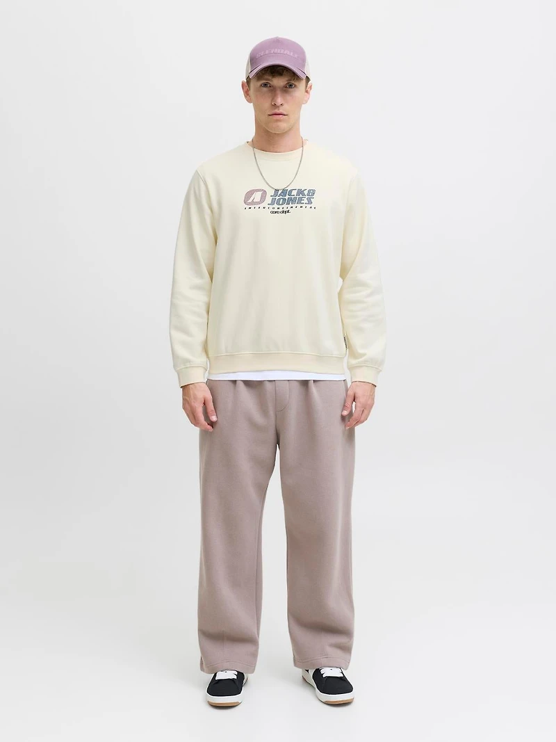 Chandail ouaté Coupe décontractée | Jack & Jones