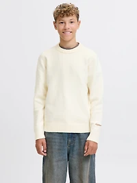 Loose Fit Sweater | Jack & Jones
