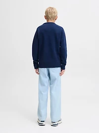 Loose Fit Sweater | Jack & Jones