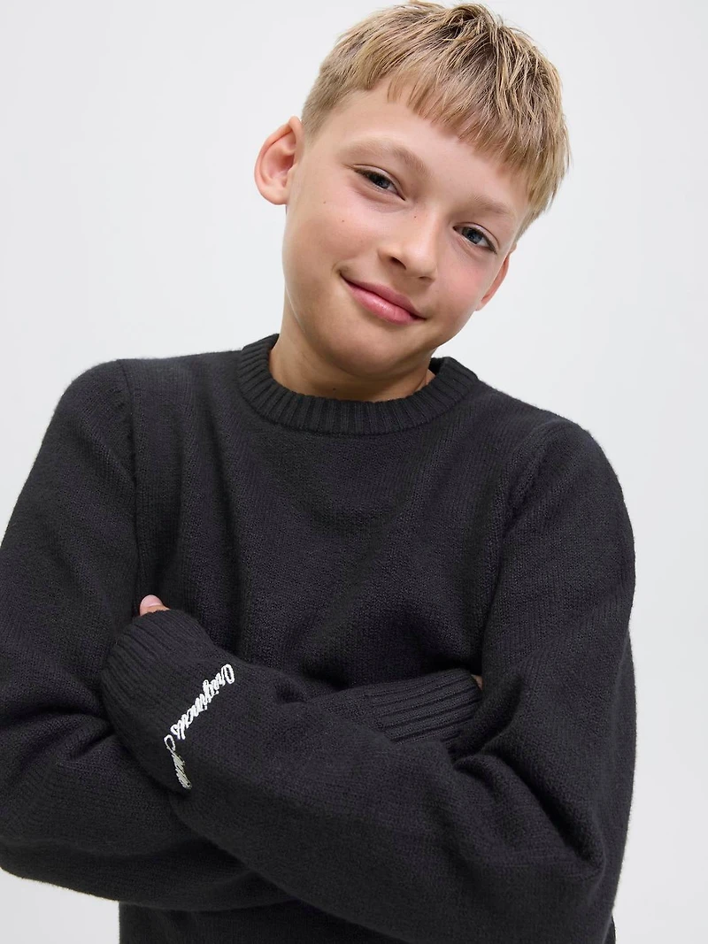 Loose Fit Sweater | Jack & Jones