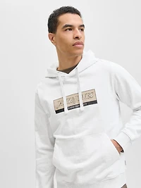 Chandail ouaté à capuchon Coupe régulière | Jack & Jones