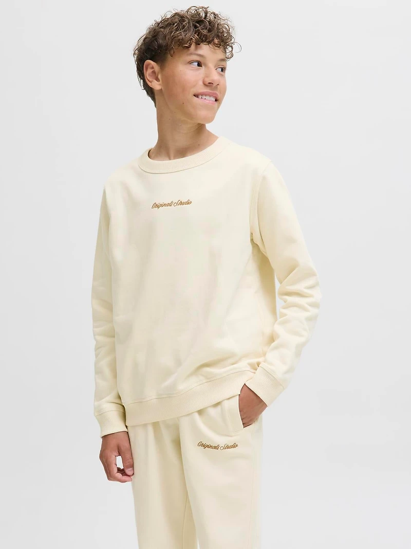Chandail ouaté Coupe décontractée | Jack & Jones