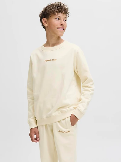 Chandail ouaté Coupe décontractée | Jack & Jones