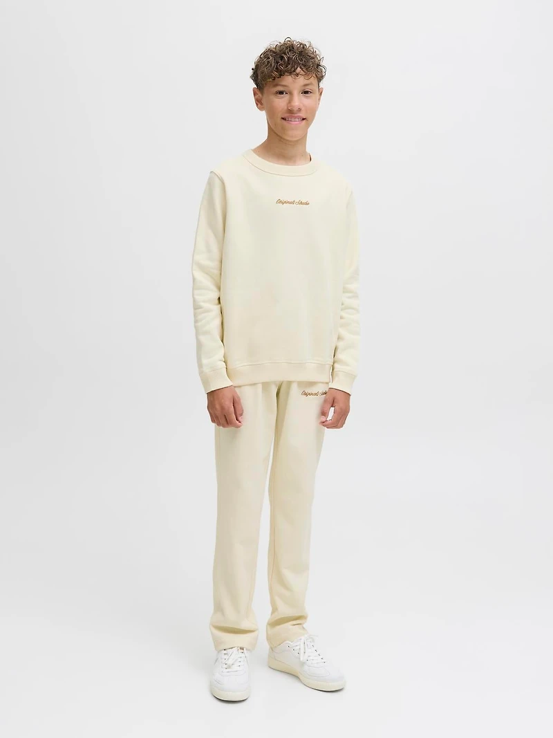 Chandail ouaté Coupe décontractée | Jack & Jones