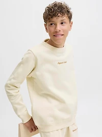 Chandail ouaté Coupe décontractée | Jack & Jones